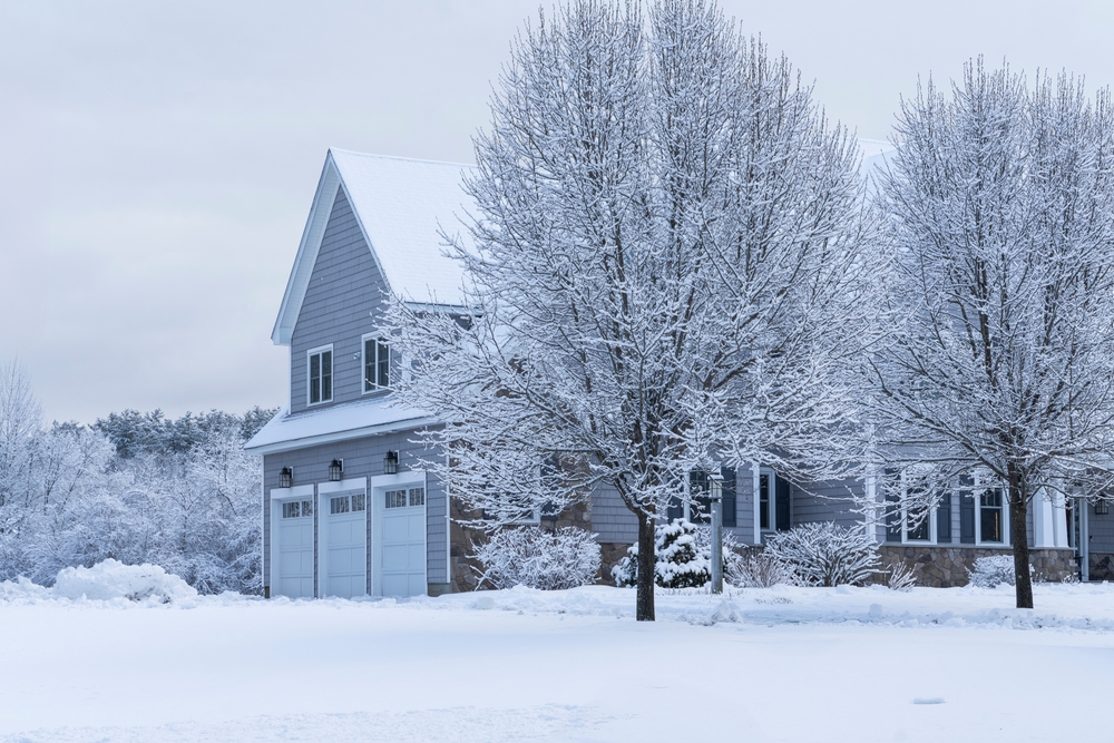 Do Trees Need Care in the Winter in Minnesota?