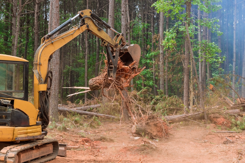 excavator tractor removing a tree from a property during land clearing
